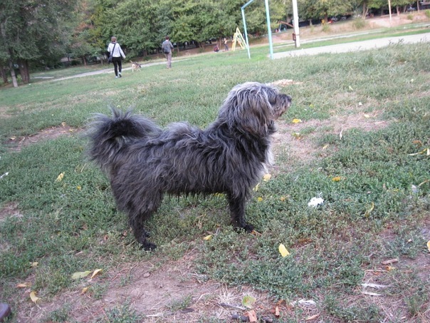 Гриша1.jpg
