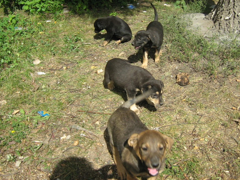 IMG_4076.JPG