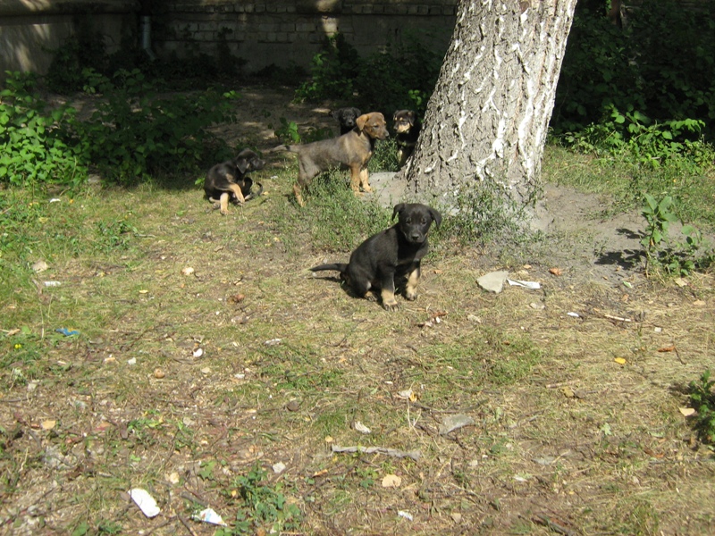 IMG_4074.JPG