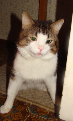 DSC00338.JPG