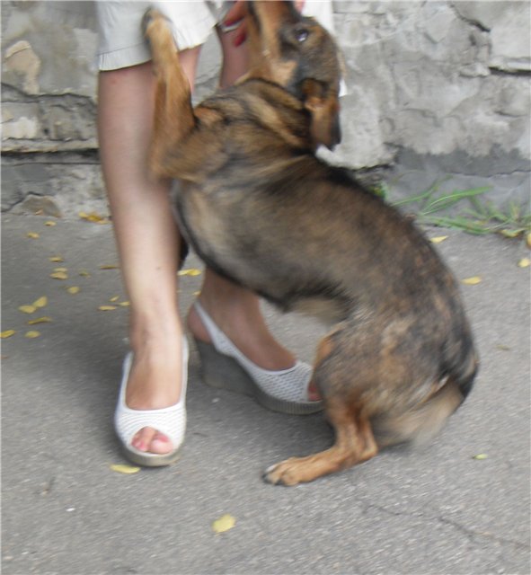 motik.jpg