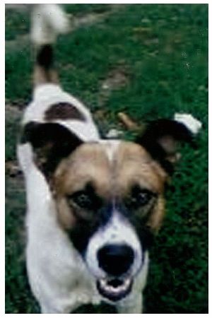 Scan 2.jpg