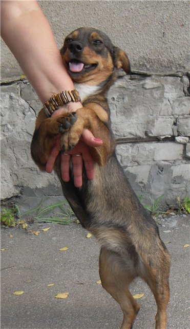 motik1.jpg