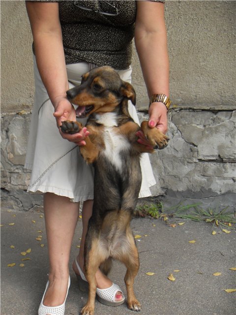 motik2.jpg