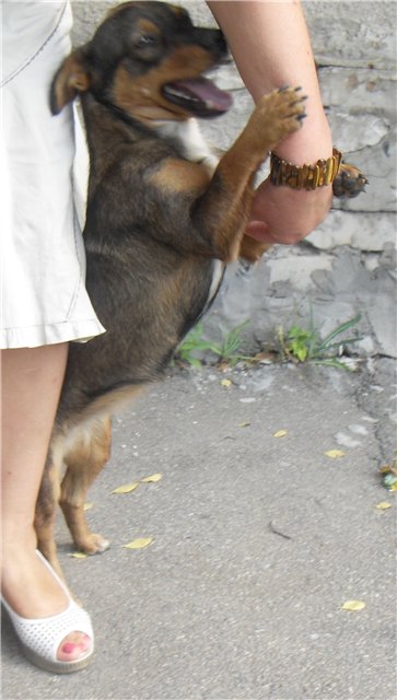 motik3.jpg