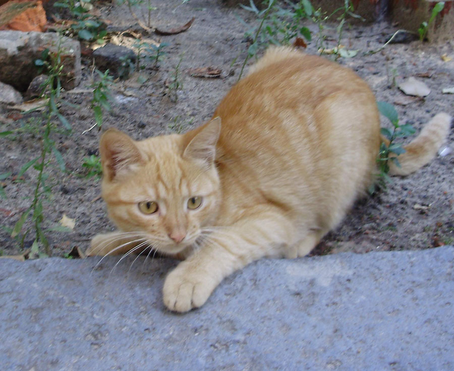 P8240047.JPG