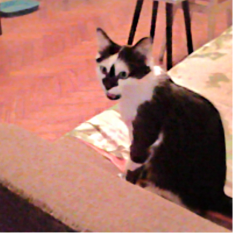 Мое фото 2.jpg