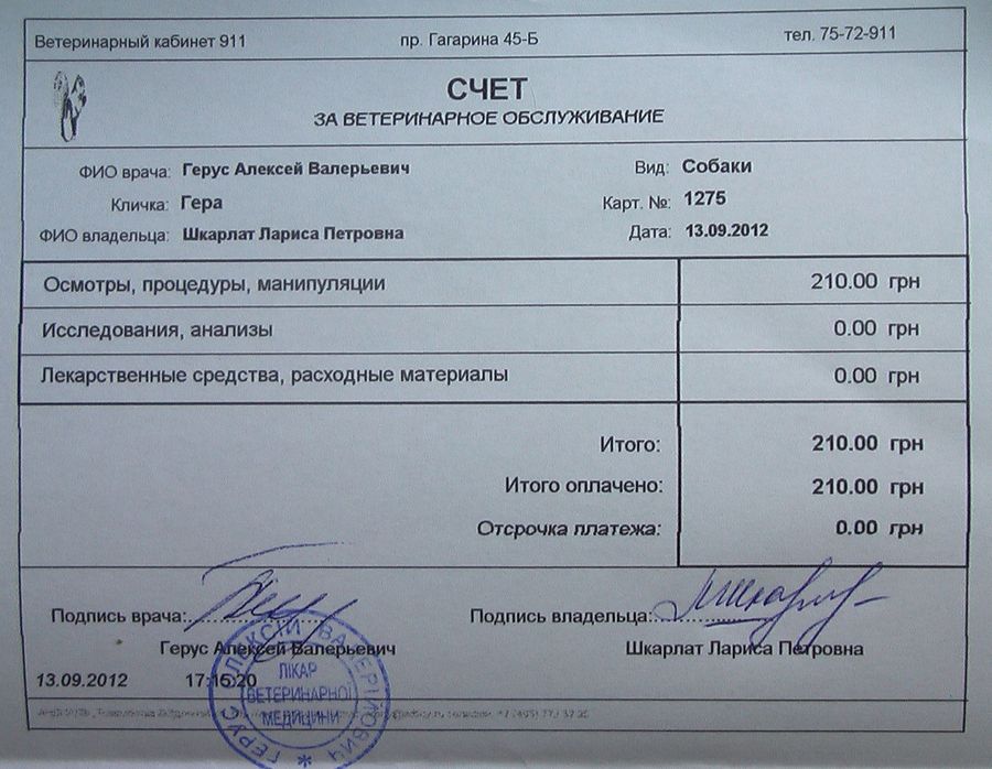 IMGA0511.JPG