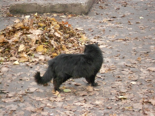 DSCN2384.JPG