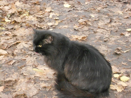 DSCN2382.JPG