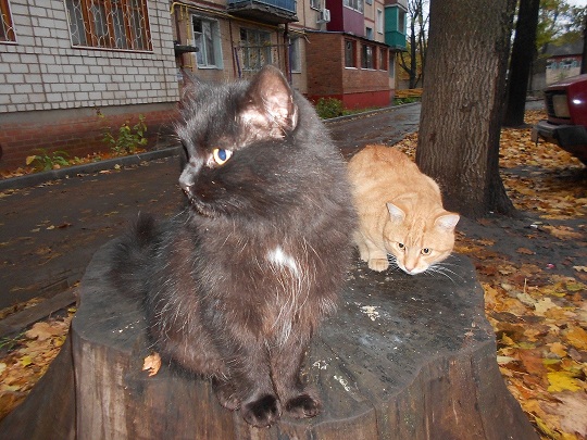 DSCN2349.JPG