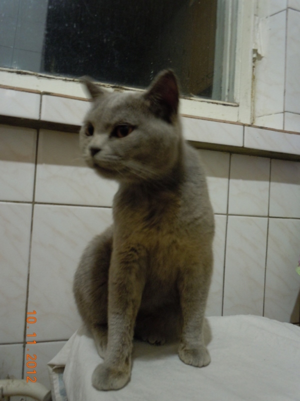 DSCN3557.JPG