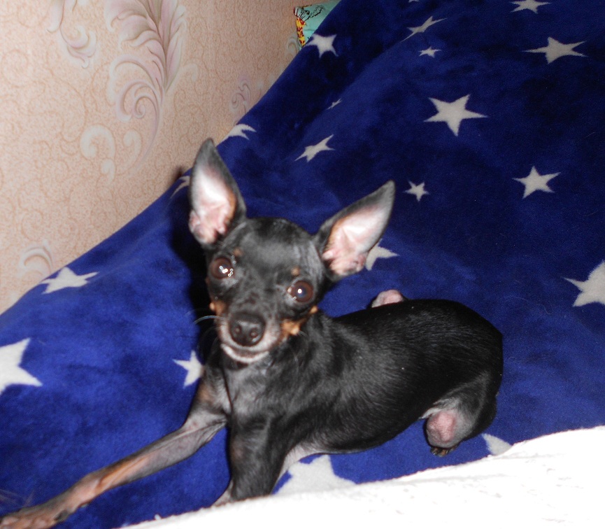 DSCN2444.JPG