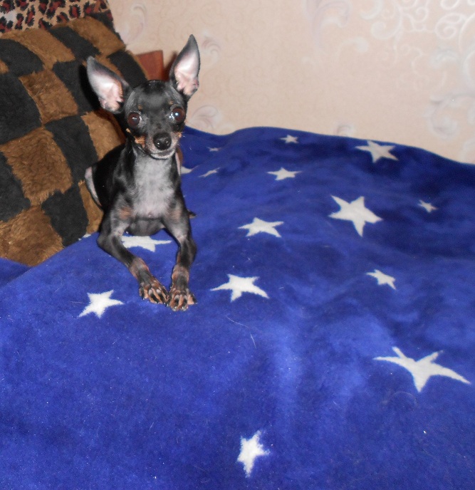 DSCN2449.JPG