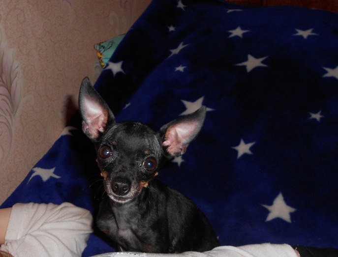 DSCN2443.JPG