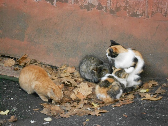 DSCN2410.JPG