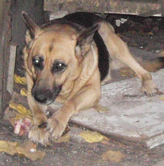 PICT4724.JPG