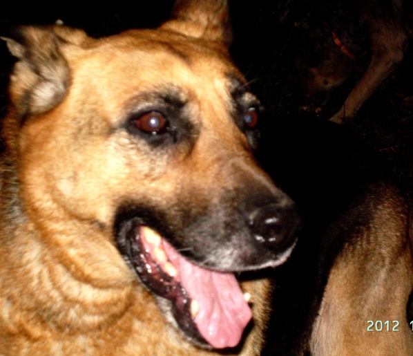 PICT4731.JPG