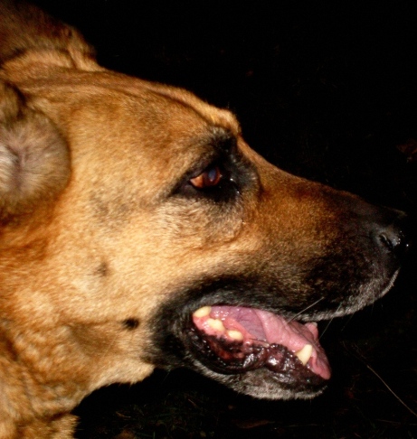 PICT4730.JPG
