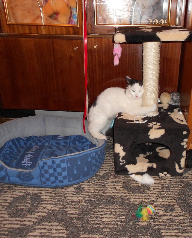 DSCN2467.JPG