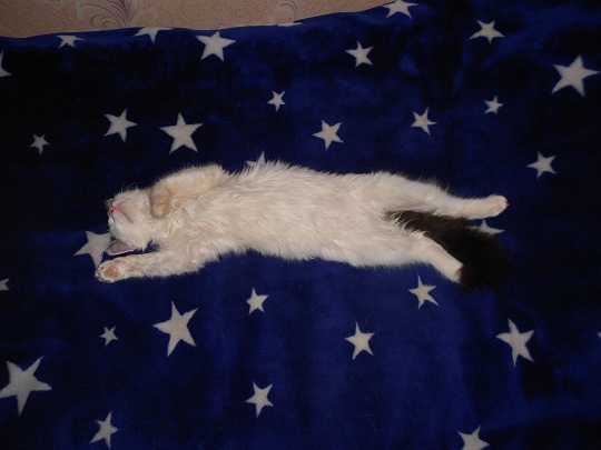 DSCN2486.JPG