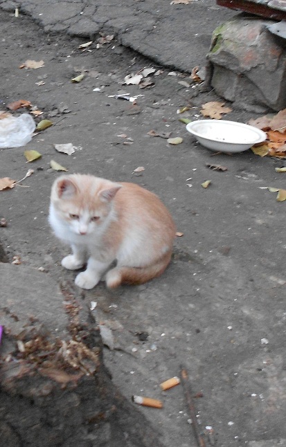 DSCN2509.JPG