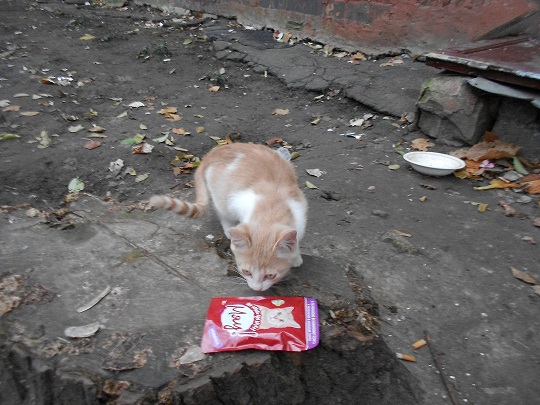 DSCN2508.JPG