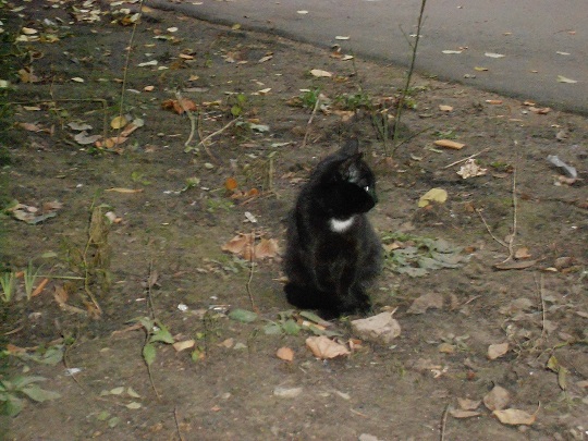DSCN2514.JPG