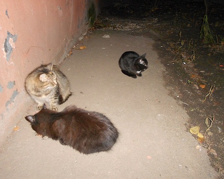 DSCN2495.JPG