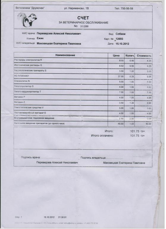 15.10.jpg