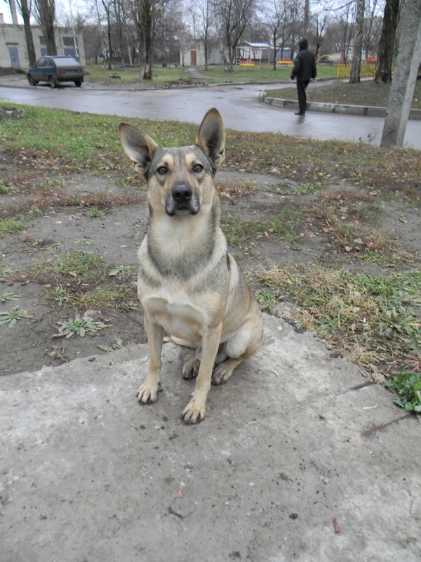 DSCN4456.JPG