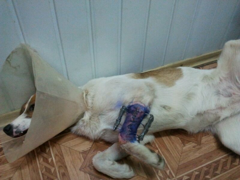 IMG-20121207-WA0000.jpg