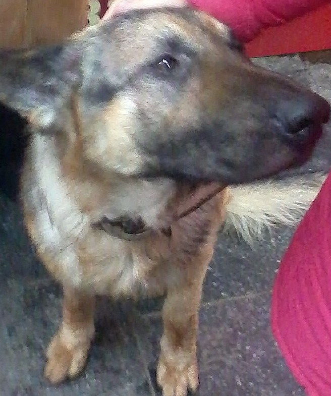 20121224_161444.jpg
