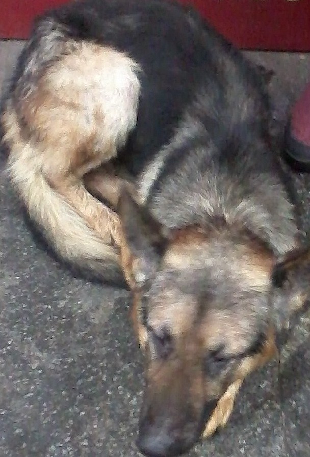 20121224_161652.jpg