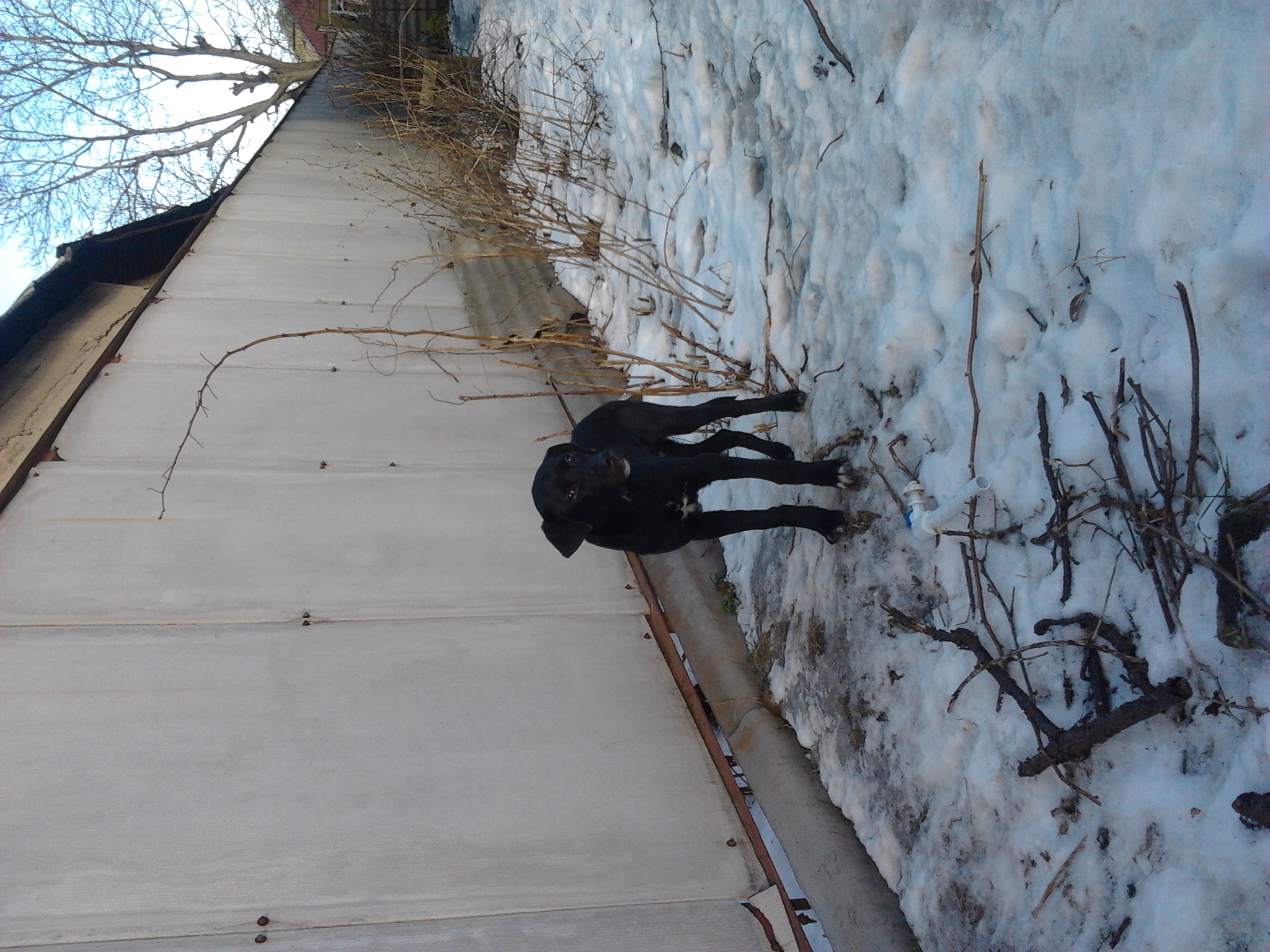 2012-12-30 13.42.39.jpg