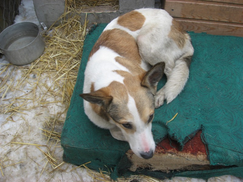 Изображение 318_800x600.jpg