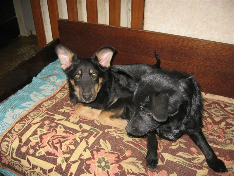 download (2)_800x600.jpg