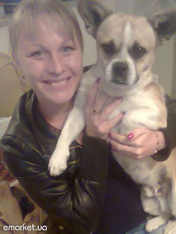 propala-sobaka-kharkov Потеряшка Рич.jpg