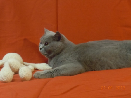 DSCN3681.JPG
