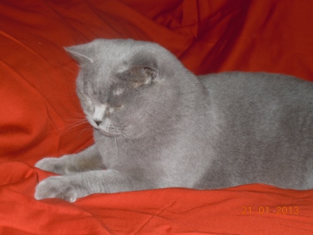 DSCN3702.JPG