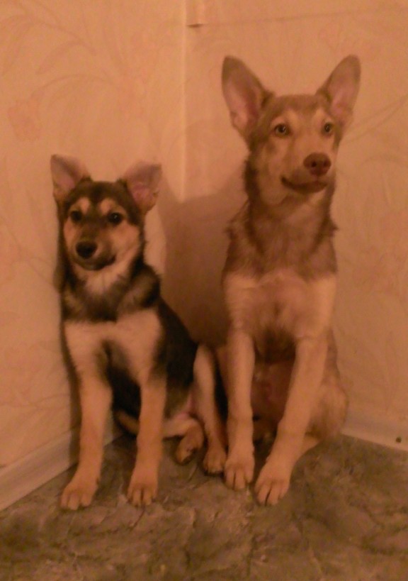 WP_20130119_012.jpg