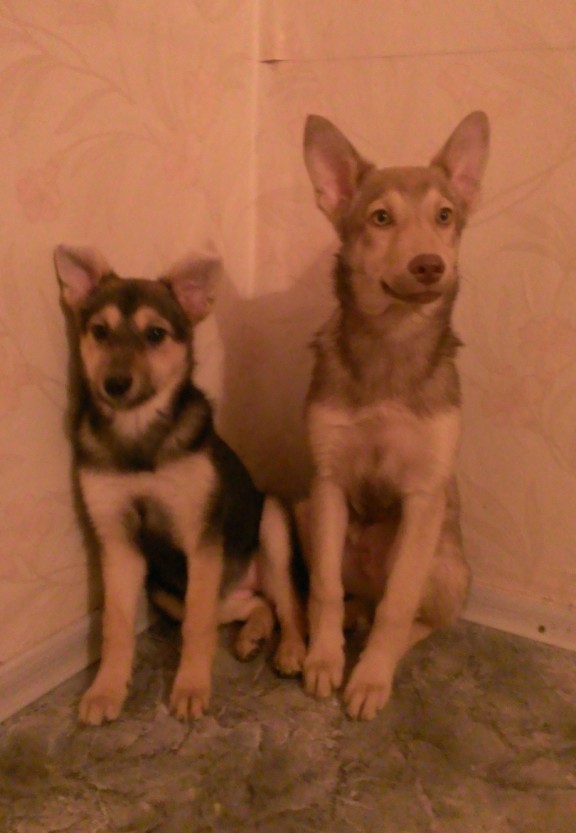 WP_20130119_008.jpg