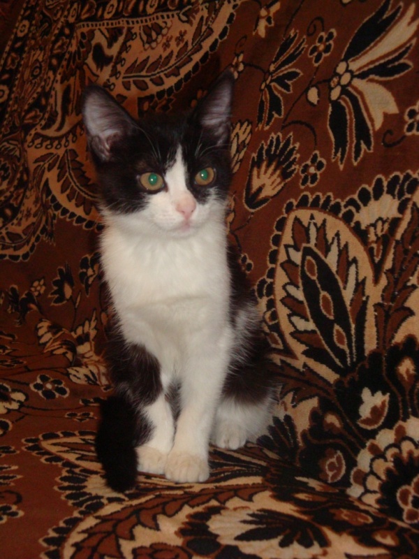 DSC07548.JPG