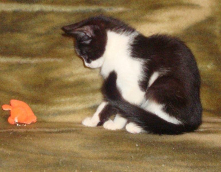 DSC07567.JPG