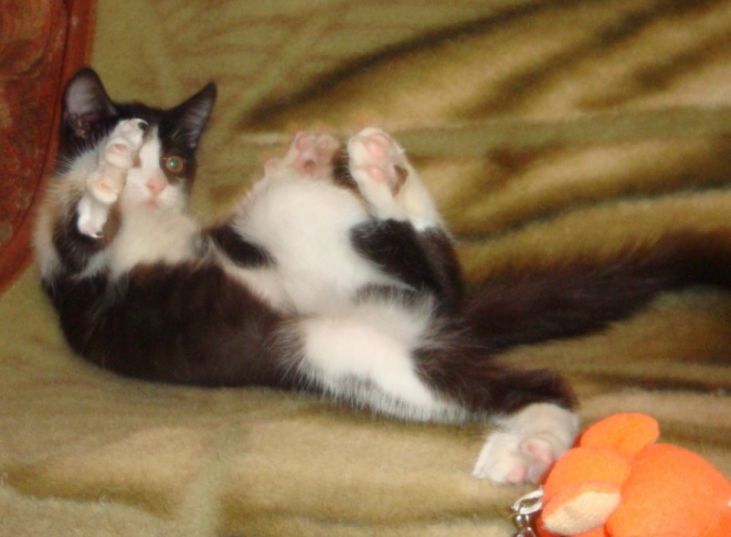 DSC07632.JPG