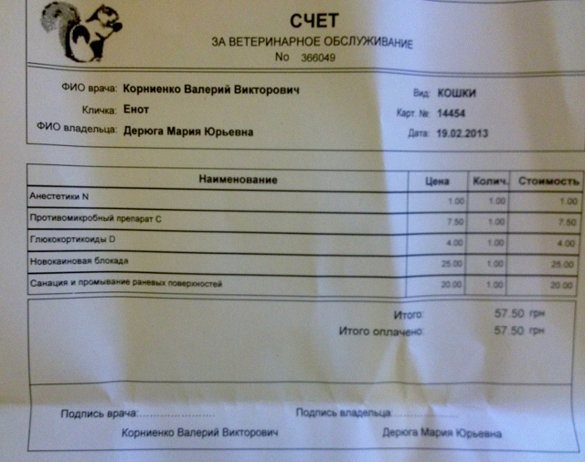 Enot bill 1 (640x506).jpg