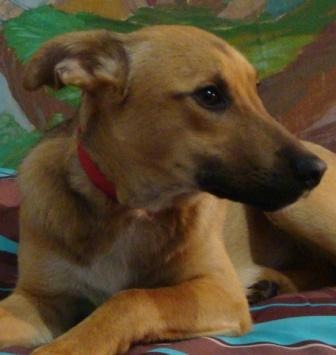DSC08793санни.JPG