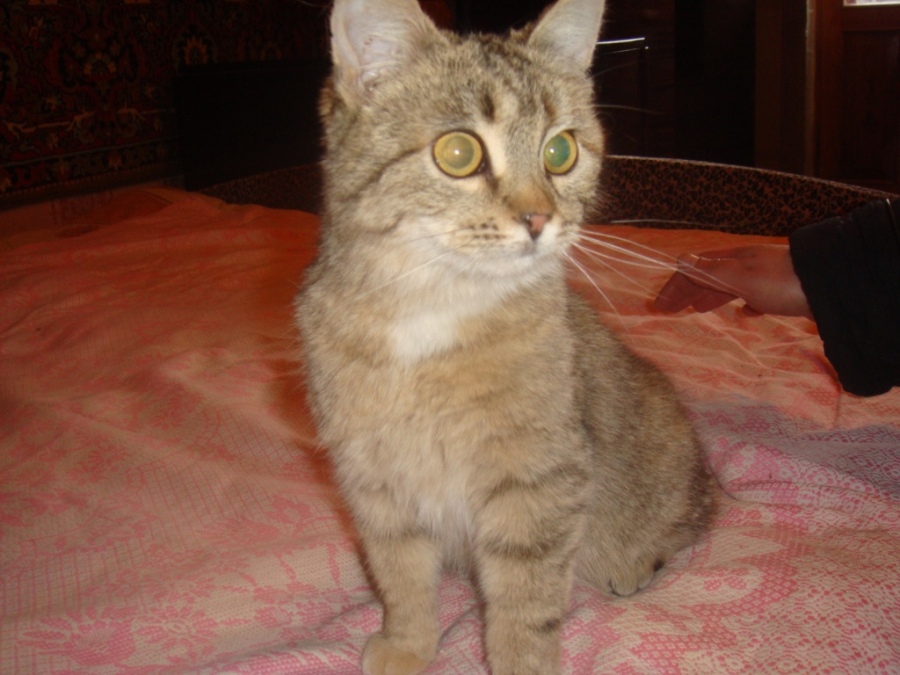 DSC04135.JPG
