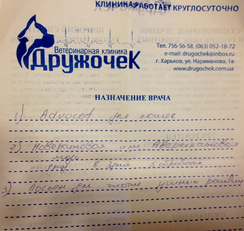bill-naznachenie vracha (800x759).jpg