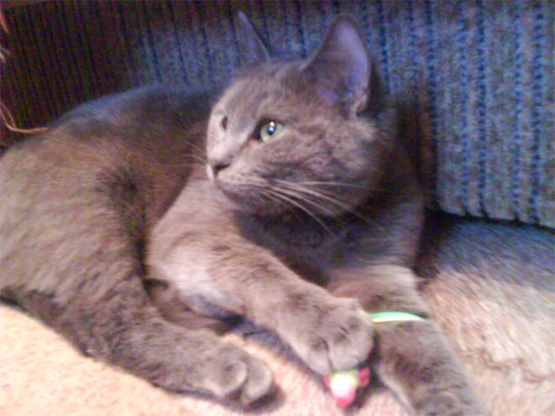 DSC00522m.jpg